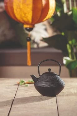 Bredemeijer Xinjang Theepot 1 Liter Gietijzer Zwart 5 Bredemeijer Xinjang Theepot 1 Liter Gietijzer Zwart -Goedkope Koffiedrankjes bredemeijer xinjang theepot 1 liter gietijzer zwart 3